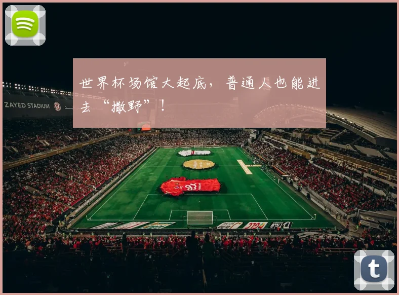 世界杯场馆大起底，普通人也能进去“撒野”！